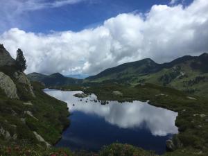 Príroda v okolí apartmánu