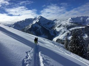 Apartment Alpbachtraum v zime