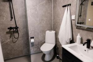a bathroom with a toilet and a shower and a sink at Hotel OmaBox - Ylivieska - Oma huoneisto saunalla in Ylivieska