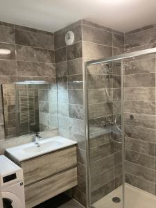 a bathroom with a sink and a shower at Appartement au pied du Mont-Blanc 2! in Sallanches