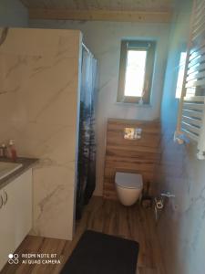 a bathroom with a toilet and a window at Dom letniskowy Krzyś in Przejma Wielka +19 photos