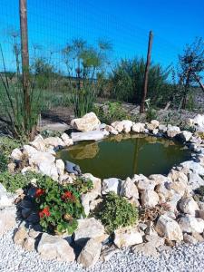 um lago com pedras e flores num jardim em Casa da Ria em Gafanha da Boa Hora