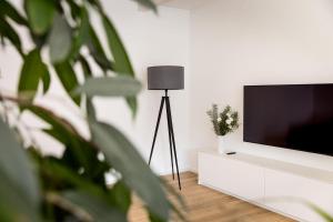 TV o dispositivi per l'intrattenimento presso Die Bludenzerin