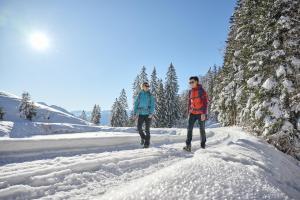 Die Bludenzerin durante l'inverno