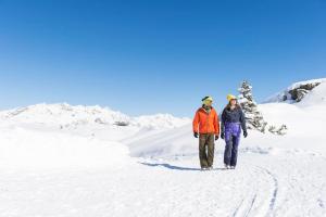 Die Bludenzerin durante l'inverno