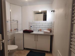 a bathroom with a sink and a toilet and a mirror at Maison 4 personnes in Caillac +9 photos
