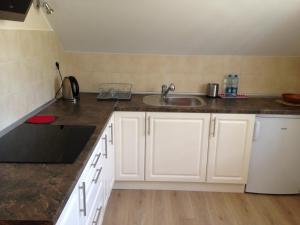 Η κουζίνα ή μικρή κουζίνα στο Winnica Płochockich Country House