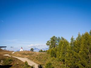 a dirt road leading to a white barn on a hill with trees at Studio Dixence 219 by Interhome in Les Collons +13 photos