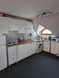 Kuchyň nebo kuchyňský kout v ubytování Hostel John Galt
