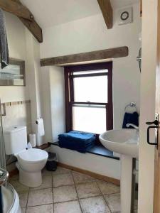 a bathroom with a toilet and a sink and a window at 9A Viaduct Cottage - the cosiest bolthole in the SW! in Hayle