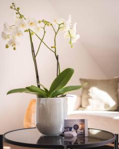 un jarrón con flores blancas sentado en una mesa en Apartment am Kurpark mit traumhafter Terrasse, en Bad Ems