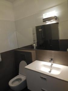 ギジツコにあるApartment Gizyckoのバスルーム(洗面台、トイレ、鏡付)