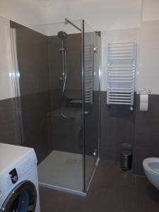 ギジツコにあるApartment Gizyckoのバスルーム(ガラスドア付きのシャワー付)