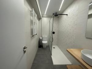 uma casa de banho com um chuveiro, um WC e um lavatório. em Oktheway Big Coruña na Corunha