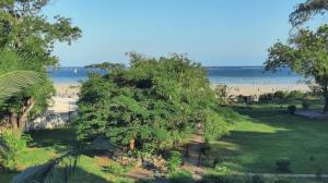 drzewo na plaży z ludźmi w wodzie w obiekcie 2 Bedroom Sea View Apartment w mieście Mombasa