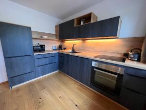 a kitchen with blue cabinets and a sink and a stove at Apartment Apartments Austria-18 by Interhome in Söll