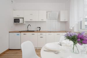 Кухня или мини-кухня в Comfy Studio Legnicka by Noclegi Renters
