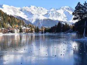 a lake with birds on it with snow covered mountains at Apartment Résidence 25 by Interhome in Champex