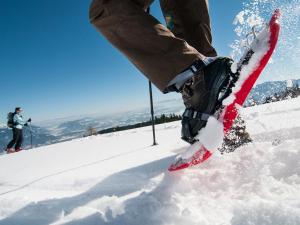 a person is standing on a snowboard in the snow at Apartment Verditz alpe maritima Ski & See - Top 1 by Interhome in Annenheim