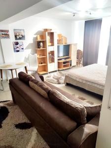 een woonkamer met een bank en een bed bij Studioul de Vis in Braşov