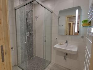 a bathroom with a shower and a sink at Apartment U Krále-2 by Interhome in Kořenov