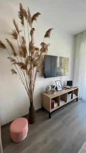 TV a/nebo společenská místnost v ubytování HelloBalaton Apartman