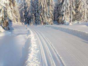 een besneeuwde weg met sporen in de sneeuw bij Holiday Home Villa keidas by Interhome in Pertunmaa