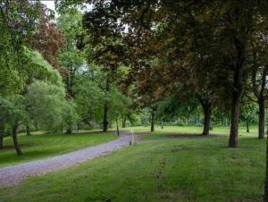 einen Weg in einem Park mit Bäumen und Gras in der Unterkunft Forsså Herrgård hotell och SPA in Näsviken