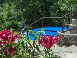 un jardín con flores púrpuras y una piscina azul en Apartment Dubi by Interhome, en Klana