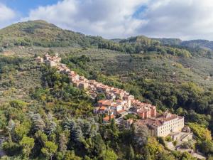 una vista aérea de una ciudad en una montaña en Apartment La casa del Fale di Collodi by Interhome en Collodi