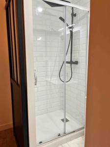 La salle de bains est pourvue d'une douche avec une porte en verre. dans l'établissement T1, à Toulouse