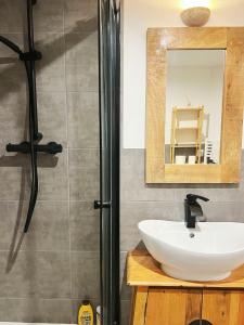 La salle de bains est pourvue d'un lavabo, d'un miroir et d'une douche. dans l'établissement Bellecour Pavillon, à Lyon
