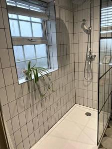 a bathroom with a shower with a window and a plant at The Malt House Artists' Residence in Newlyn