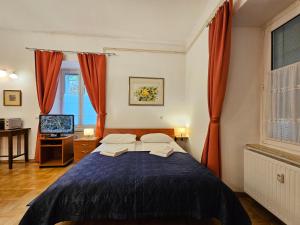 Ένα ή περισσότερα κρεβάτια σε δωμάτιο στο Spacious central studio Nika 2 Tour As Ljubljana