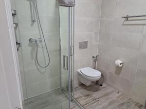 La salle de bains est pourvue de toilettes et d'une douche en verre. dans l'établissement Amigos para Sempre - Casa de Hóspedes, à Ferragudo