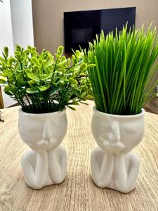 Deux vases blancs avec des plantes sur une table dans l'établissement The A&D Urban Central Retreat, à Thessalonique