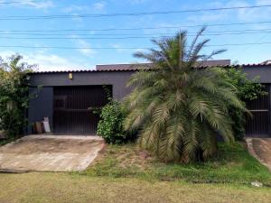 a palm tree in front of a garage at Casa com piscina em condomínio fechado in Peruíbe