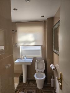 a small bathroom with a toilet and a sink at Belfast Luxury Apartment in Belfast +18 photos