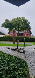 a tree in the middle of a brick road at Apartment Sofia in Wilderswil