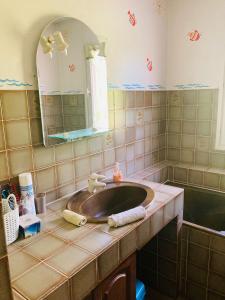ein Bad mit einem Waschbecken und einem Spiegel in der Unterkunft Chambre chez l'habitant. in Metz