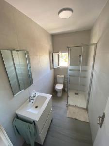 een badkamer met een wastafel, een douche en een toilet bij Apartamento vacacional en Denia in Denia