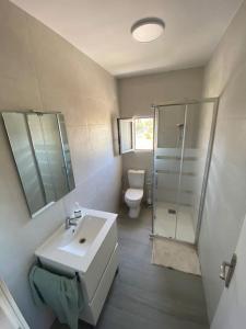 a bathroom with a sink and a shower and a toilet at Apartamento vacacional en Denia in Denia