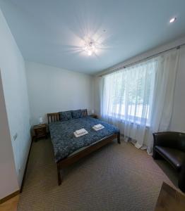 a living room with a bed and a window at Mežnoras holiday house 