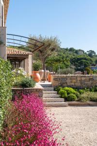 LA BASTIDE DES CULS-ROUSSET外面的花园