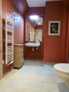 łazienka z białą toaletą i umywalką w obiekcie Appartement 50m du centre historique w mieście Sarlat-la-Canéda