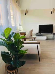 Telewizja i/lub zestaw kina domowego w obiekcie Appartement 50m du centre historique