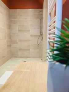 Łazienka w obiekcie Appartement 50m du centre historique