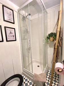 a bathroom with a shower and a toilet at Le chalet bucolique au bord de l'eau in Olivet