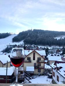 Sadyba u Halyny Sunrise að vetri til