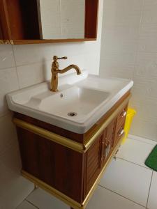 a bathroom sink with a gold faucet at Kigali Peace villa in Kigali